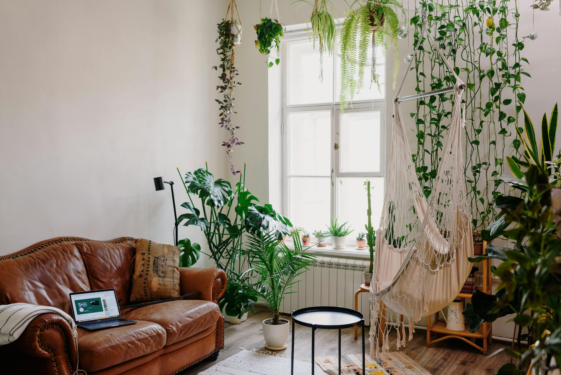Modern Living